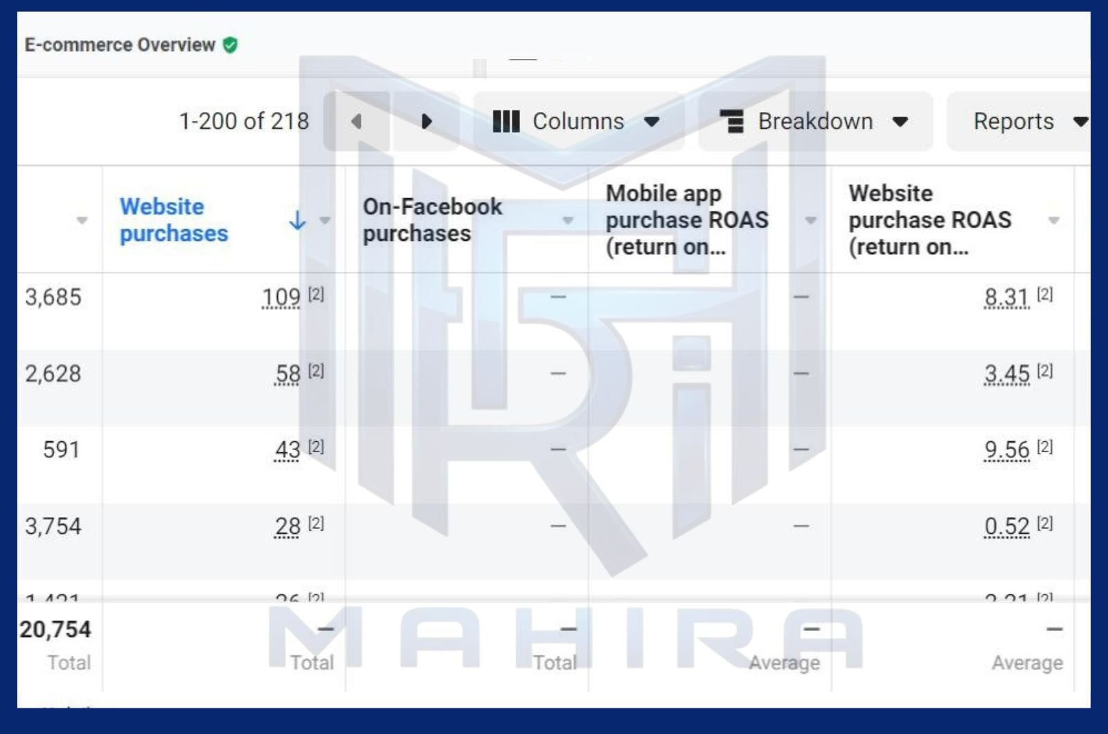 Meta Conversion Ads