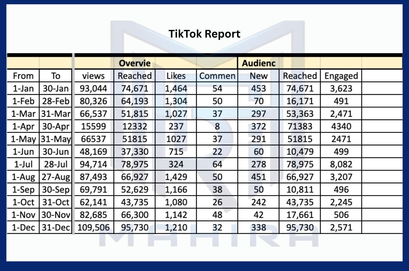 TikTok Report