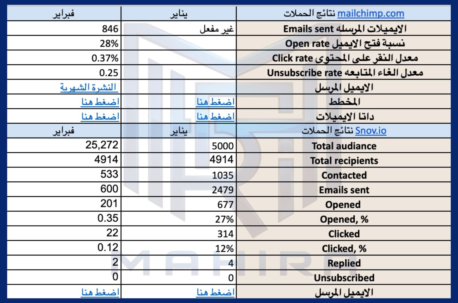 SEO Report